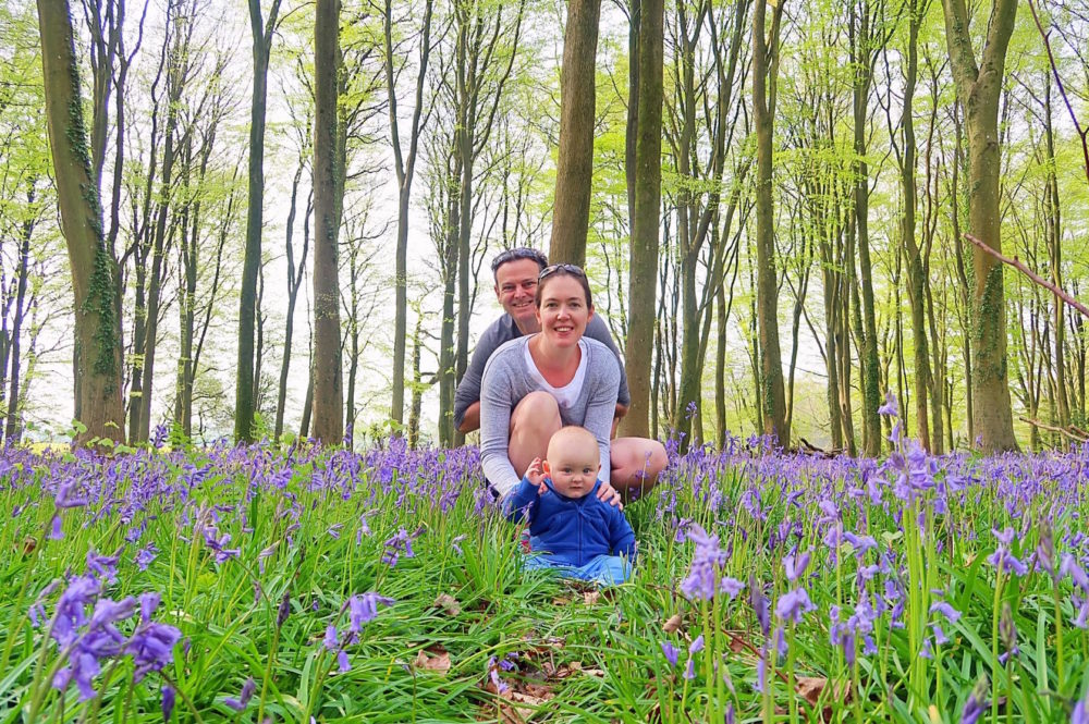 Another day, another bluebell and other Winchester wanderings