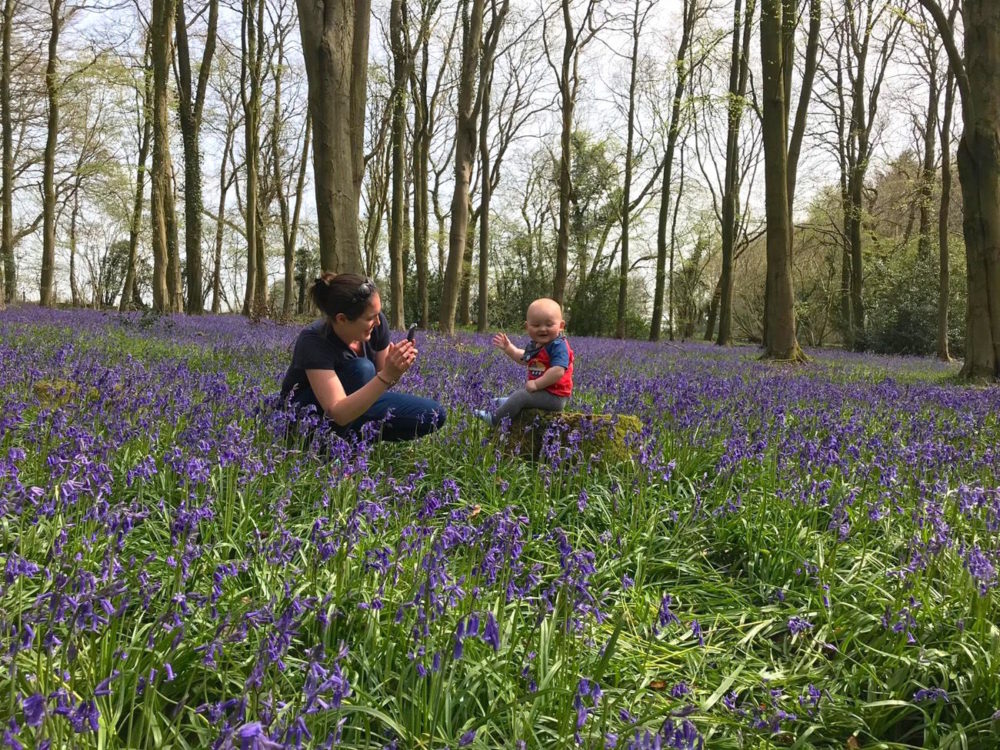 Another day, another bluebell and other Winchester wanderings