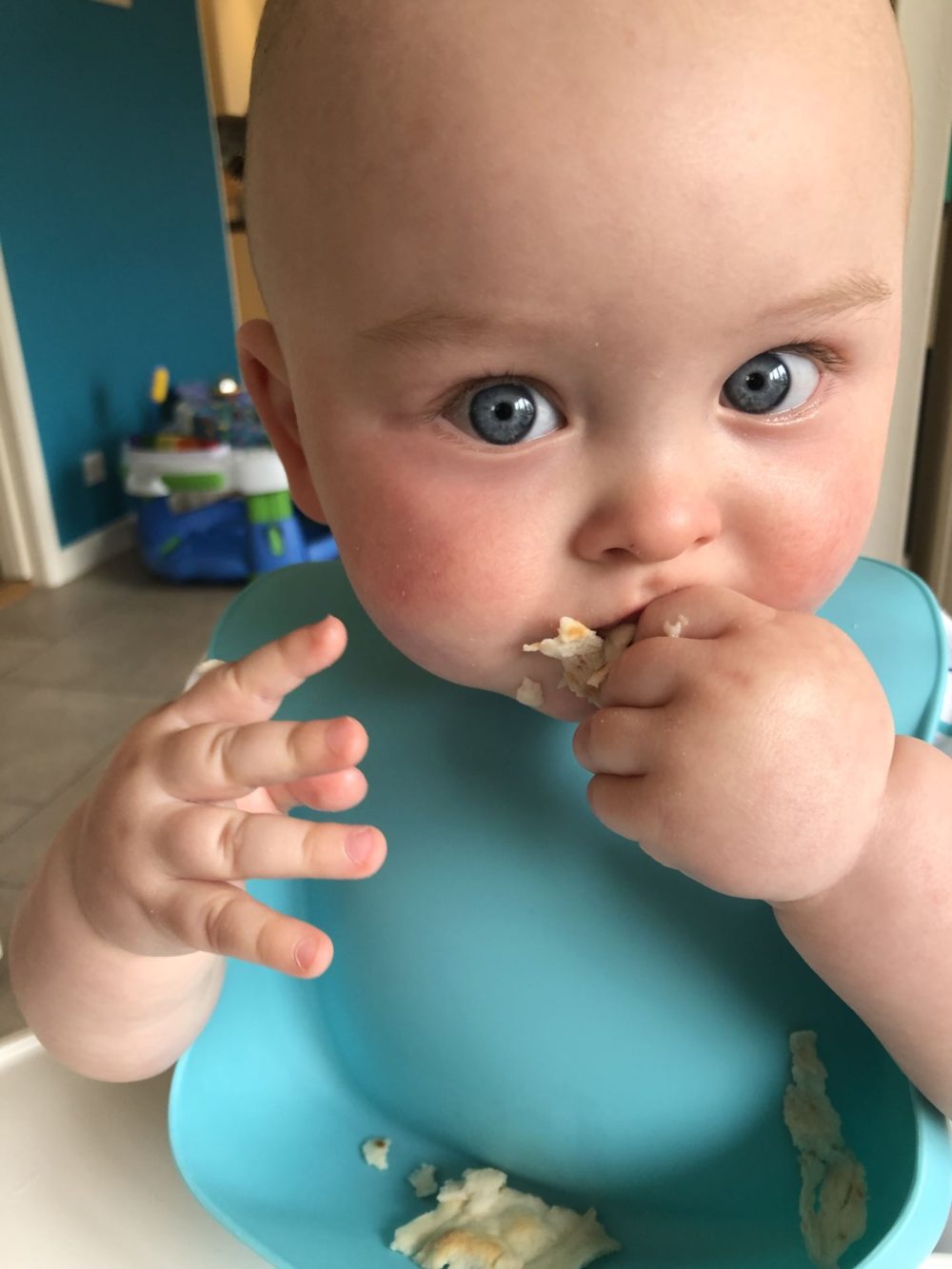 MY BABY IS ONE: 12 THINGS IN 12 MONTHS