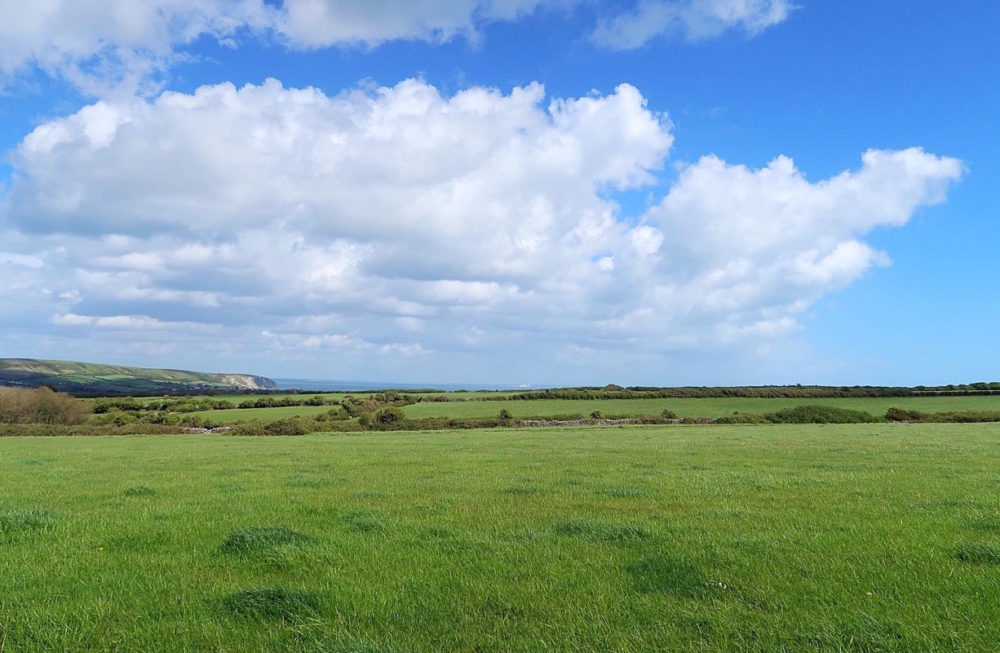 A minibreak in Dorset - Penelope Parker & Baby