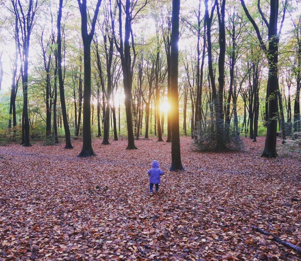 Three peas in autumn