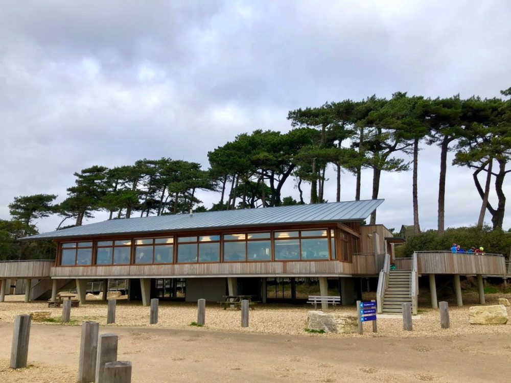 FAMILY DAY AT LEPE COUNTRY PARK