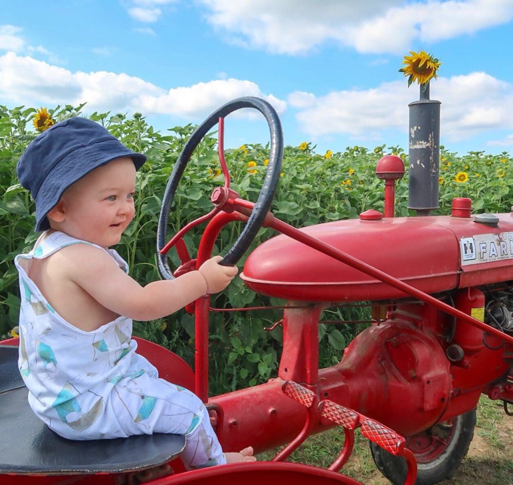 HAMPSHIRE WITH A TODDLER IN TOW