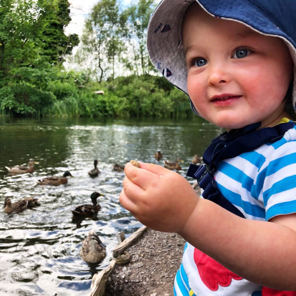 HAMPSHIRE WITH A TODDLER IN TOW