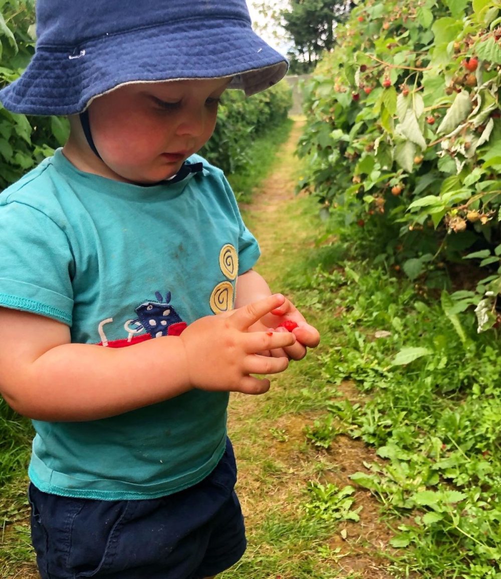 HAMPSHIRE WITH A TODDLER IN TOW