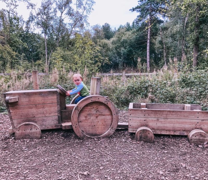 10 OUTDOOR TRIPS WITH A TODDLER IN HAMPSHIRE