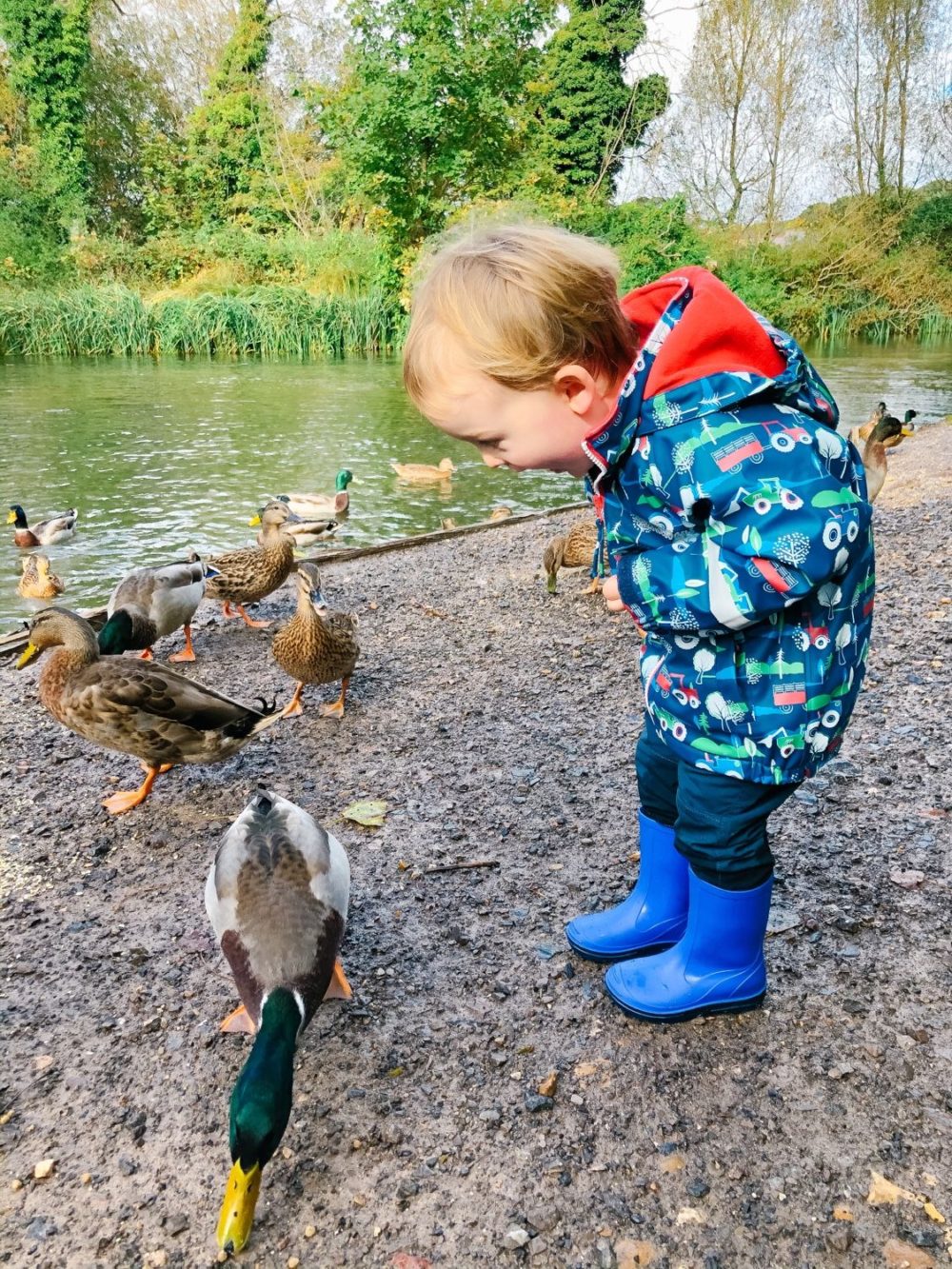 10 OUTDOOR TRIPS WITH A TODDLER IN HAMPSHIRE