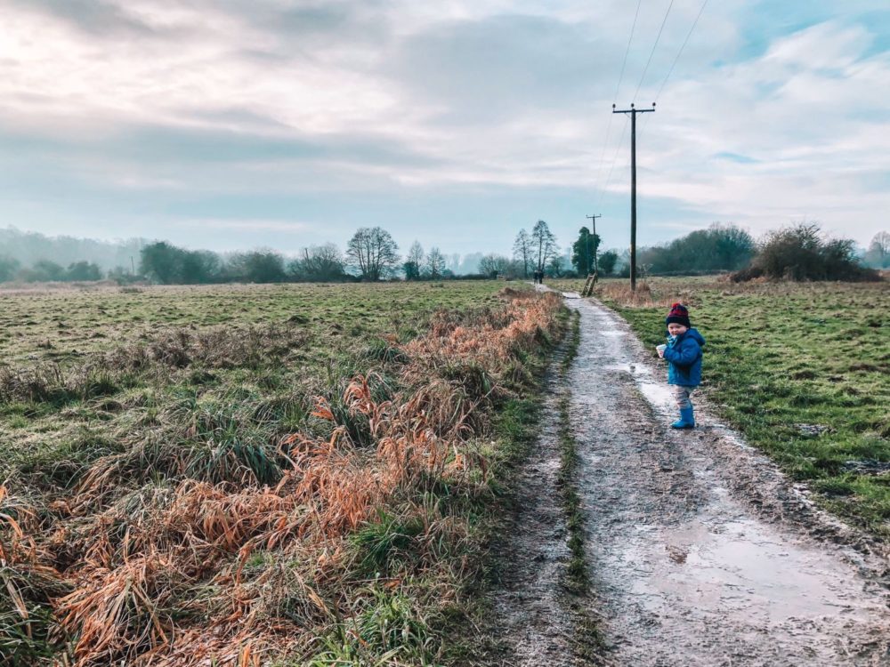 COFFEE & CAKE, WINE & WALKS NEAR WINCHESTER