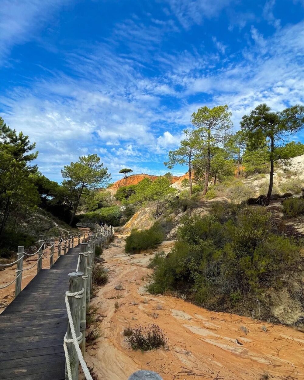 COMPARING MARTINHAL SAGRES & PINE CLIFFS