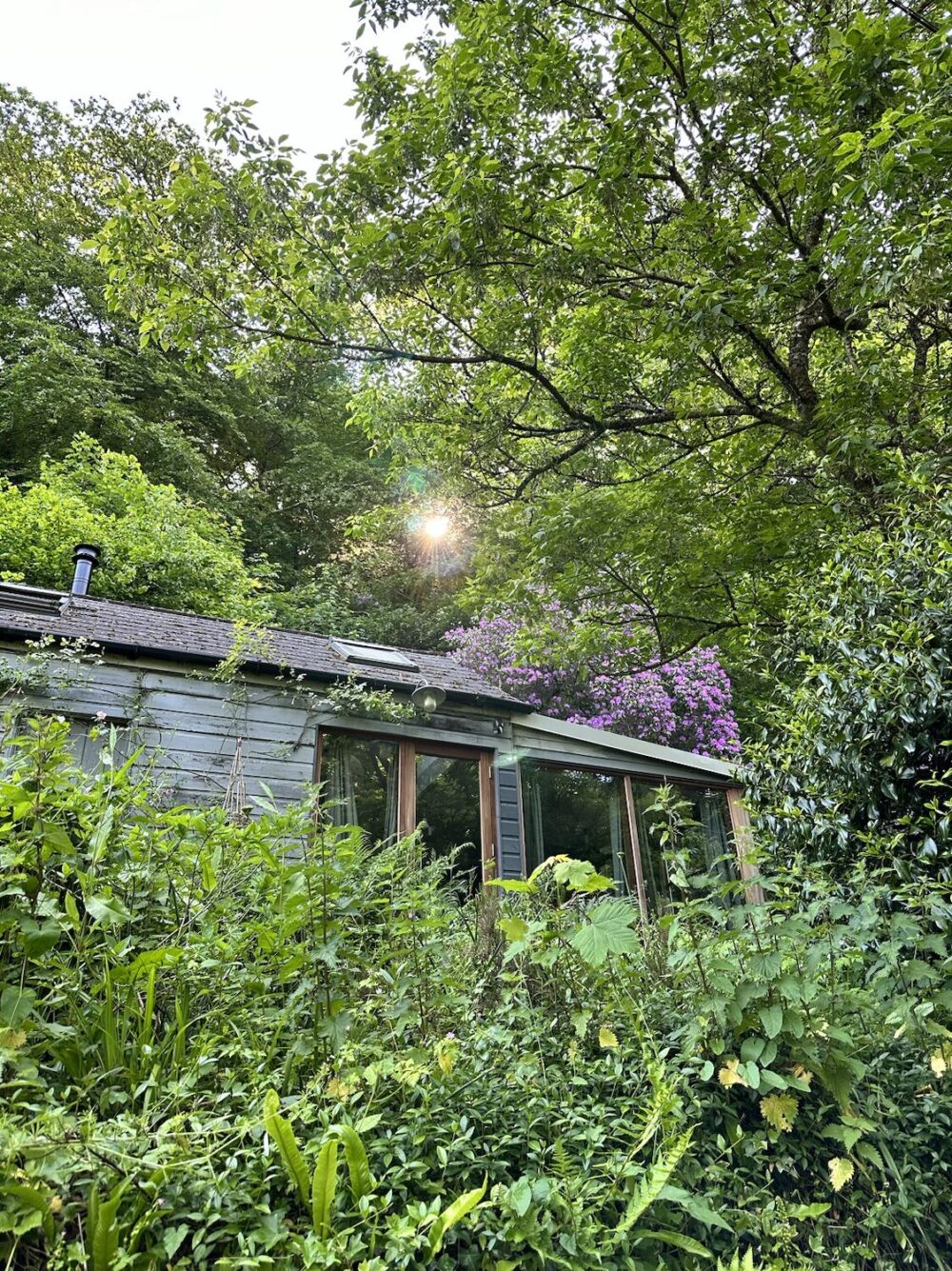 Batman's Summerhouse - rural cabin in Devon