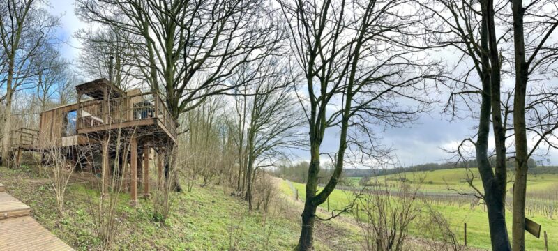 WILD ESCAPES TREEHOUSE HAMPSHIRE