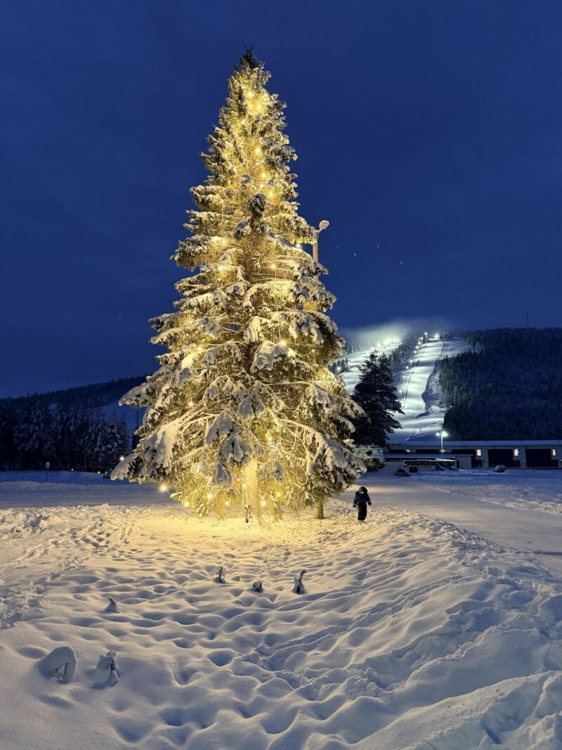 THE MAGIC OF LAPLAND – CANTERBURY TRAVEL – SUOMU